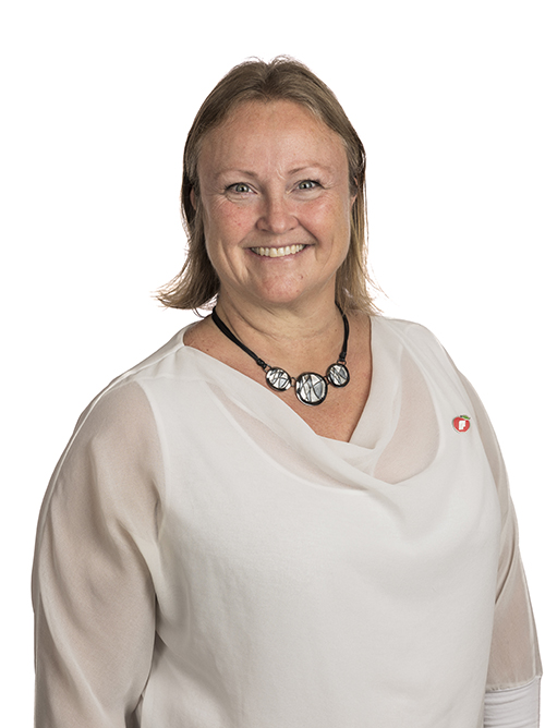 Anette Carnarius Elseth